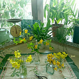 キッチン/花のある暮らし/花のある生活/花のある空間/花が好き...などのインテリア実例 - 2020-04-05 14:35:12