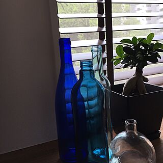 棚/青い瓶/ガジュマル/木製ブラインドのインテリア実例 - 2016-04-22 07:52:41