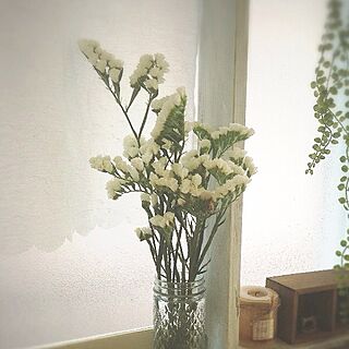 植物/手作り棚のインテリア実例 - 2014-02-15 17:49:34