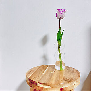 中古住宅/切り花/お花のある暮らし/チューリップ/IKEAのインテリア実例 - 2023-03-05 12:46:07
