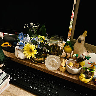 お花/お花を飾る/デスク周り/一人暮らし/パソコン周り...などのインテリア実例 - 2023-04-30 22:42:51
