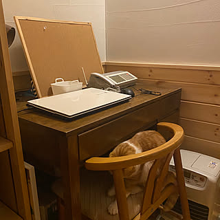 古い机/わが家の暖房器具・ストーブ/ねこのいる風景/猫さまファースト/二階が住まい...などのインテリア実例 - 2021-12-25 06:46:55