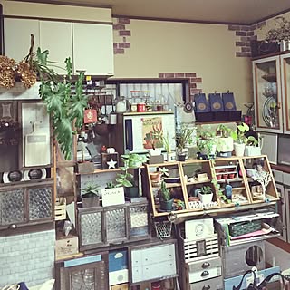 部屋全体/多肉植物/観葉植物/編み物クラブ☆/棚板リメイク...などのインテリア実例 - 2017-01-26 07:24:59