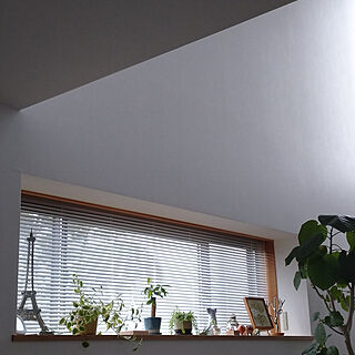壁/天井/植物のある暮らし/木枠の窓&窓枠/観葉植物のある暮らし/高窓からの木漏れ日...などのインテリア実例 - 2021-03-12 20:24:13