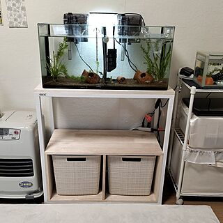 部屋全体/観葉植物/無印良品/ガーデニング/古いアパート...などのインテリア実例 - 2023-05-02 15:32:59