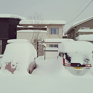 部屋全体/大寒波/子供のいる暮らし/建売住宅/癒しの場所...などのインテリア実例 - 2023-02-03 08:54:22