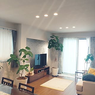 部屋全体/一番好きな場所/観葉植物/ソファー/カーテン...などのインテリア実例 - 2023-10-05 07:22:08