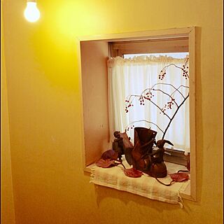 壁/天井/小窓/本気のアート/植物のインテリア実例 - 2014-12-28 00:38:49