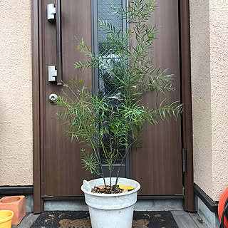 ブリスベーンワトルのインテリア実例 Roomclip ルームクリップ