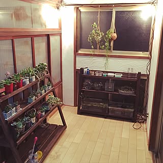 部屋全体/観葉植物/多肉植物/漆喰壁/漆喰壁DIY...などのインテリア実例 - 2017-05-07 21:47:46