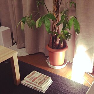 ベッド周り/植物/IKEA/ひとり暮らし/春夏のインテリア実例 - 2014-05-04 19:52:41