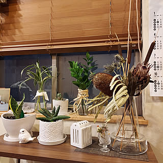 部屋全体/お気に入りのカラー/心地よい暮らし/観葉植物初心者/いいね！&フォローとっても嬉しいです♡...などのインテリア実例 - 2021-06-13 21:38:31