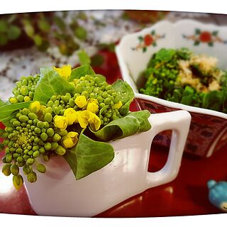 キッチン/菜の花のお浸し。/直売所。/全部飾れば良かった。/又、生花として買って来よう。...などのインテリア実例 - 2017-03-15 15:08:02