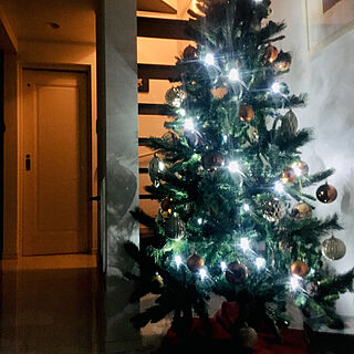 玄関/入り口/夜の玄関/階段下/クリスマスツリー/緑が好き...などのインテリア実例 - 2018-11-28 22:56:56