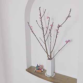 玄関/入り口/mocoちゃんおひなさま/ニッチ/桃の花のインテリア実例 - 2017-02-20 17:19:35