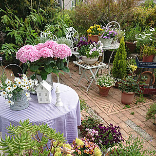 玄関/入り口/花のある暮らし/緑のある暮らし/花のある生活/花のある空間...などのインテリア実例 - 2020-05-17 10:50:28