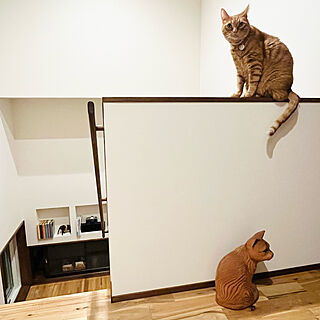 木彫りの猫/こどものいる暮らし/ねこのいる暮らし/階段の踊り場/昭和ガラスの窓のインテリア実例 - 2022-09-24 22:04:02
