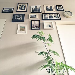 壁/天井/観葉植物/モノトーン/アート/IKEAのインテリア実例 - 2017-05-07 11:21:50