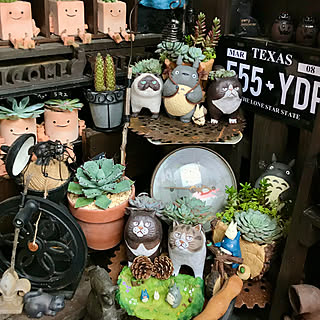 かとうゆみ植木鉢5