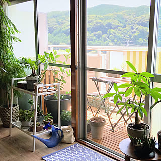 玄関/入り口/グリーンのある暮らし/NO GREEN NO LIFE/IKEA/観葉植物...などのインテリア実例 - 2018-08-21 06:34:44