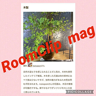 Room Clipとの出会いに感謝✳︎/RoomClip mag 掲載/ほっこり/あたたかい暮らし/棚のインテリア実例 - 2022-02-24 12:15:21