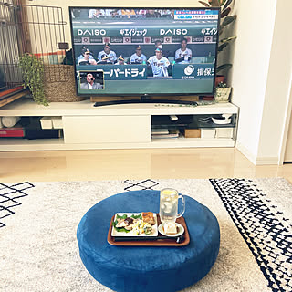 イケヒコ/ケージがあるお部屋/テレビ周り/テレビボード/わたしの休日のすごし方...などのインテリア実例 - 2023-05-21 15:57:25