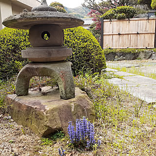 玄関/入り口/古民家/古民家暮らし/ふるいものが好き❤/和風庭園...などのインテリア実例 - 2022-04-12 10:55:56