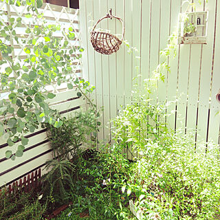 玄関/入り口/お花のある暮らし/庭いじり/しろが好き*/お花大好き♡...などのインテリア実例 - 2017-09-09 07:43:27