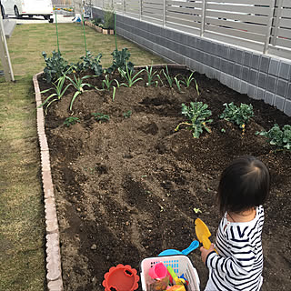 家庭菜園/手作り花壇/手作りの庭/平屋/畑...などのインテリア実例 - 2018-04-03 20:58:11