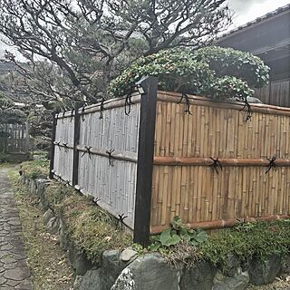 壁/天井/いなか暮らし/みつろうクリーム凄いです/古民家/竹垣...などのインテリア実例 - 2023-03-24 16:44:30