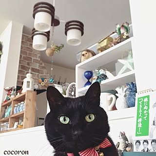 cocoronさんの実例写真