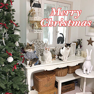 棚/フォロワーさんに感謝♥/クリスマスディスプレイ/猫と暮らす。/シャビーシックに憧れて...などのインテリア実例 - 2018-12-24 08:09:15
