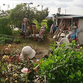 部屋全体/インテリアじゃないしうちでもない♥︎/リアルすぎてびっくり！のインテリア実例 - 2014-08-30 16:24:21