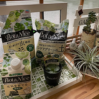 BotaNice/虫対策/植物のある暮らし/多肉植物/観葉植物...などのインテリア実例 - 2022-07-03 21:34:54