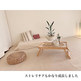 観葉植物/ストレリチア/H&M HOME/ニトリ/観葉植物のある暮らし...などのインテリア実例 - 2020-06-30 12:30:27