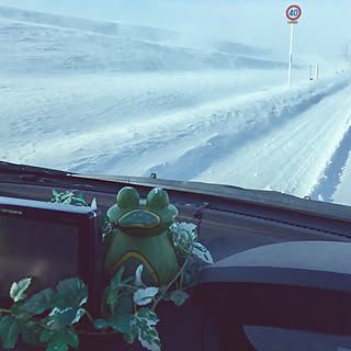 玄関/入り口/車もアジアン/大雪/早朝運転/雪の日...などのインテリア実例 - 2018-01-25 09:42:07