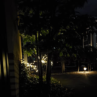 玄関/入り口/わが家の明かり/アバターの世界/ガーデンライトのインテリア実例 - 2021-07-22 21:01:15