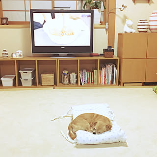 リビング/北欧/無印良品/IKEA/犬...などのインテリア実例 - 2017-07-26 21:59:09