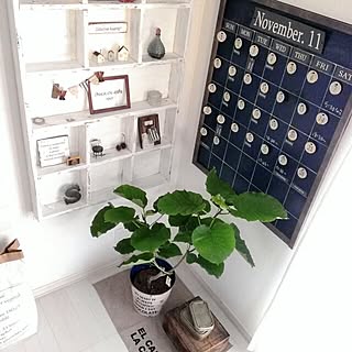 リビング/植物/万年カレンダーDIY/アンティーク風棚DIY/IKEA...などのインテリア実例 - 2015-11-18 08:59:06