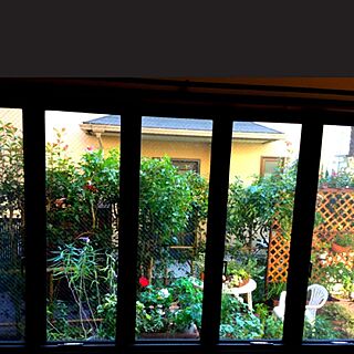 アート/窓/庭/ガーデニング/リビングからの眺め...などのインテリア実例 - 2013-10-30 08:37:54