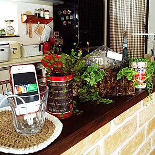 キッチン/iPhone4S/iPod化/観葉植物/リメ缶のインテリア実例 - 2014-04-11 09:31:35
