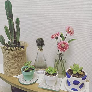 ベッド周り/感謝/生命力あふれる/植物のある暮らし/花のある暮らし...などのインテリア実例 - 2017-06-27 14:12:09