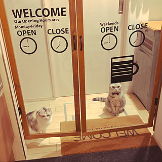 ねこのいる日常/Instagram始めました/猫と暮らす/IG→yokkochan0225/ねこのいる暮らし...などのインテリア実例 - 2022-07-05 18:00:06