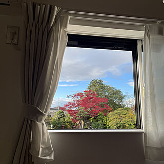 紅葉/窓からみえる景色のインテリア実例 - 2021-11-11 07:49:40