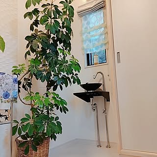 玄関/入り口/わが家の好きな風景/西海岸スタイル/手洗いスペース/観葉植物のある暮らしのインテリア実例 - 2024-05-28 11:09:05