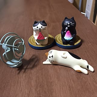 猫ばか/猫のいる暮らし/猫雑貨/部屋全体のインテリア実例 - 2017-06-22 19:54:58