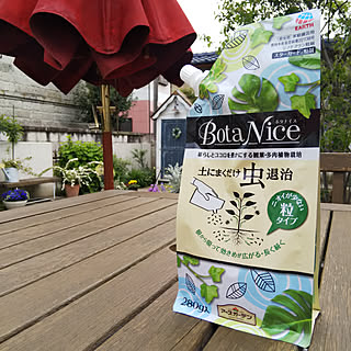 観葉植物/多肉植物/BotaNice/モニター当選/ガーデン...などのインテリア実例 - 2019-05-05 20:08:58