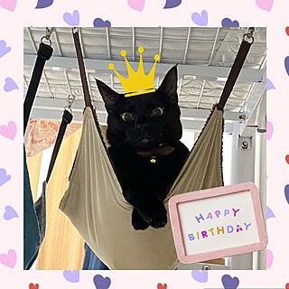 黒猫♡ひぐれ/子供の日が誕生日/2022.5.5/ひぐれの誕生日/生活感のある家...などのインテリア実例 - 2022-05-05 21:29:42