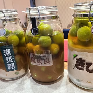 キッチン/梅仕事/梅ジュースは凍らせてから漬けます/梅ジュース作り/今年は大粒...などのインテリア実例 - 2023-05-30 20:00:12