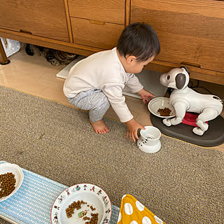 IKEAテレビ台/赤ちゃんと猫/aibo/まるちゃん /1歳児...などのインテリア実例 - 2021-12-05 09:26:19